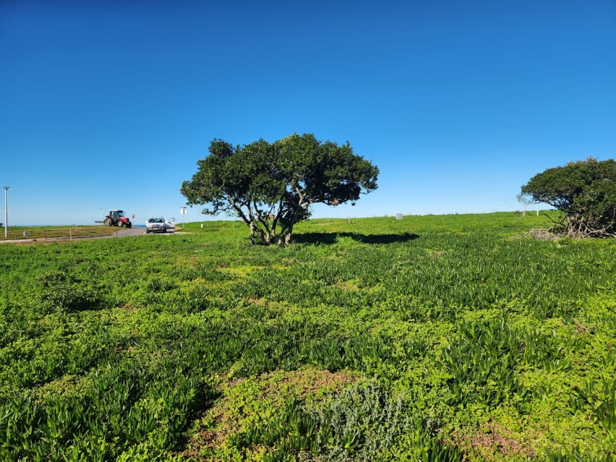 0 Bedroom Property for Sale in Stilbaai Wes Western Cape